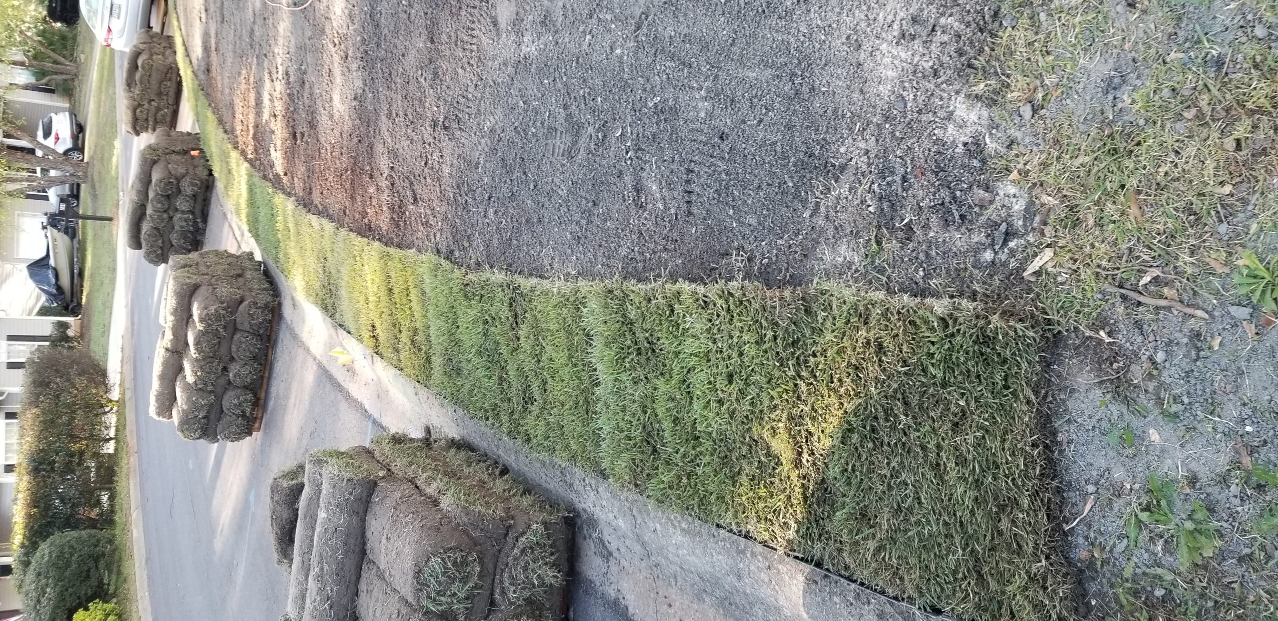 All Pro Lawn — project photo 7